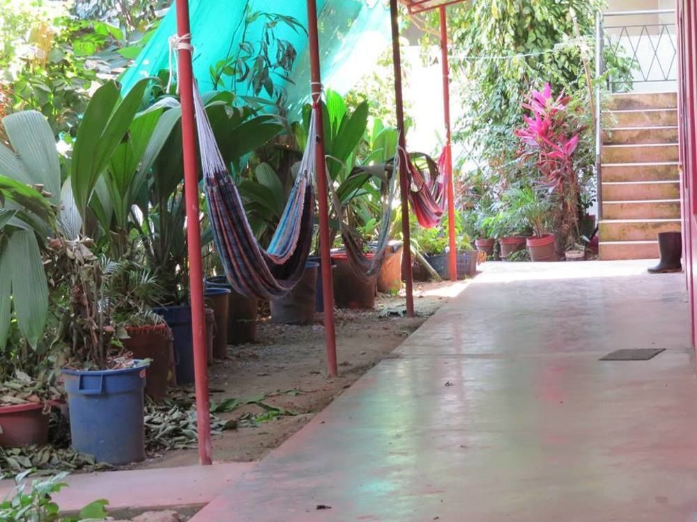 Tambopata Hostel Bambu Puerto Maldonado Luaran gambar