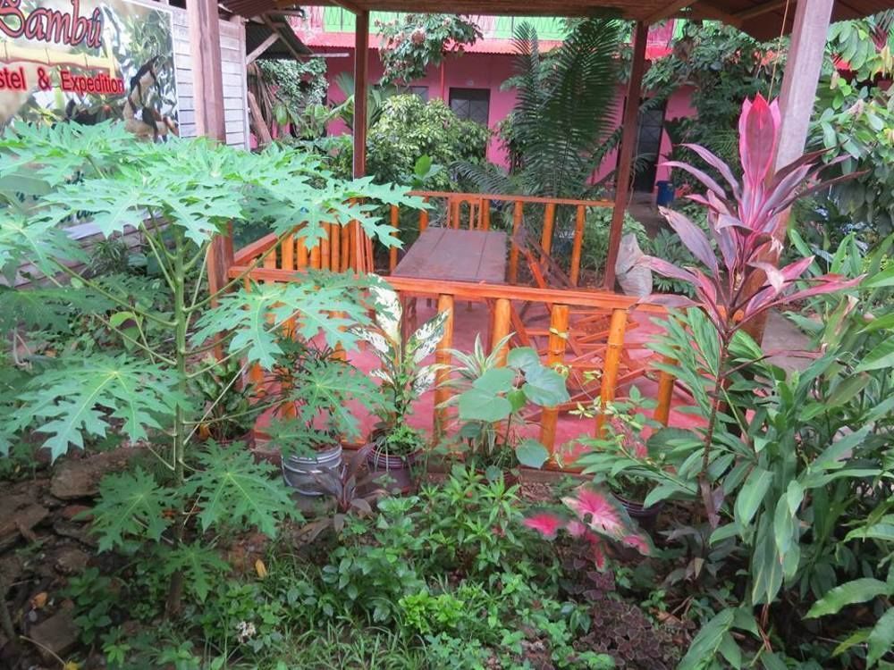 Tambopata Hostel Bambu Puerto Maldonado Luaran gambar
