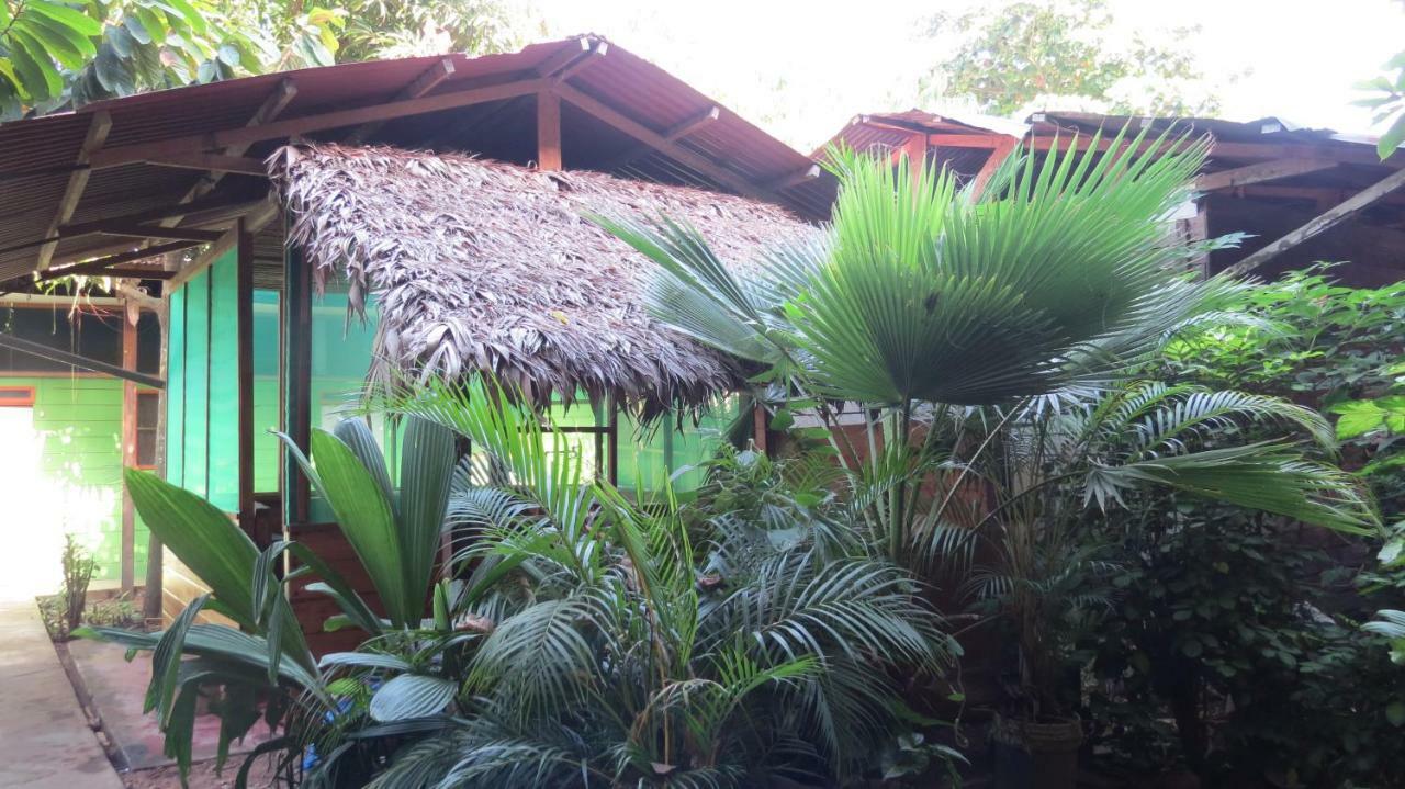 Tambopata Hostel Bambu Puerto Maldonado Luaran gambar
