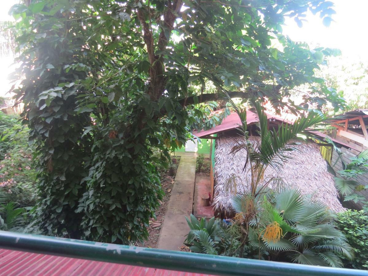 Tambopata Hostel Bambu Puerto Maldonado Luaran gambar